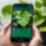 A close-up view of a smartphone displaying a plant identification app in action with a vibrant green leaf