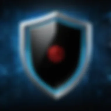 Shield symbol representing digital security