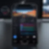 Interface showing video playback controls on iPhone