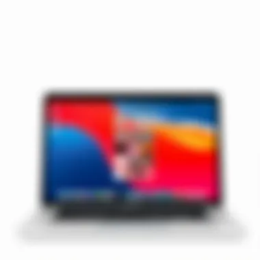 Screenshot of collage software interface on MacBook