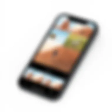 Collage App Interface Overview Interface of a popular collage application