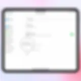 Visual representation of iPad settings interface