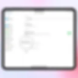 Visual representation of iPad settings interface