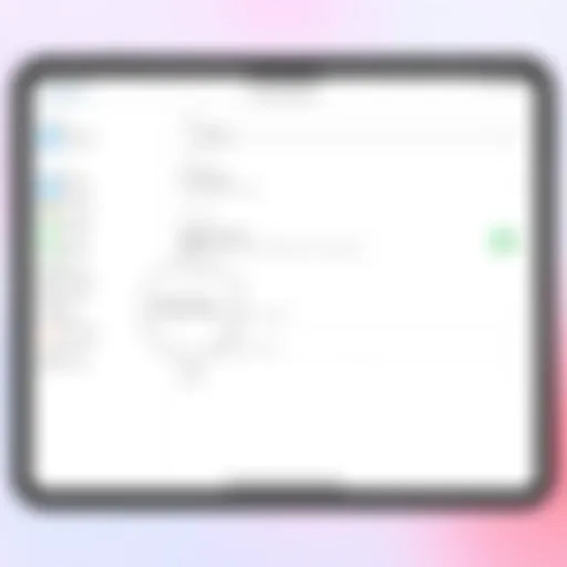 Visual representation of iPad settings interface