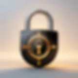 Secure lock symbol representing password protection