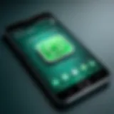 Installation screen of WhatsApp on mobile