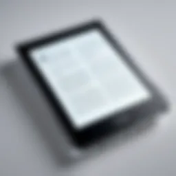 A close-up view of an e-reader displaying the EPUB format.