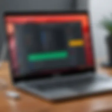 Editing Application User Interface on Chromebook User interface of a popular editing application on Chromebook