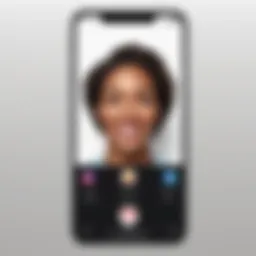 Recording a FaceTime call interface on an Apple device