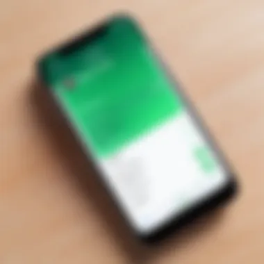 Find My iPhone App Interface Visual representation of the Find My iPhone app interface