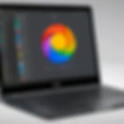 Chromebook showcasing paint program interface