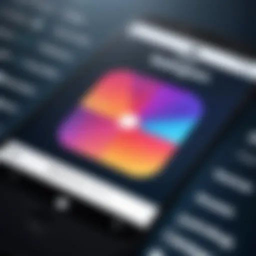 An overview of an app interface showing Instagram analytics