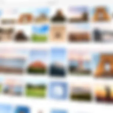 Organized Photo Collections A visual representation of organized photo collections within Google Photos.