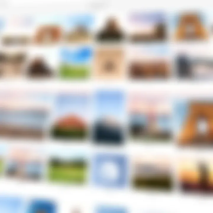 Organized Photo Collections A visual representation of organized photo collections within Google Photos.