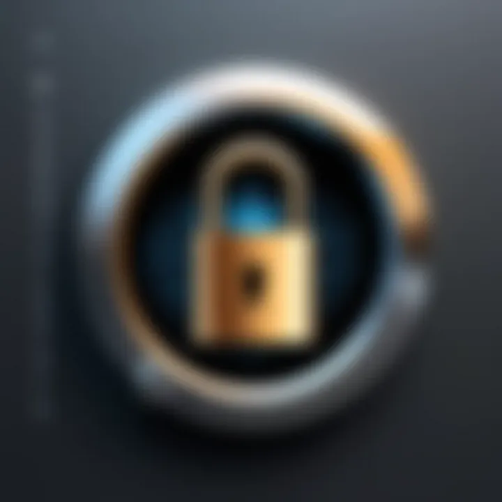 Symbol of privacy with a digital lock