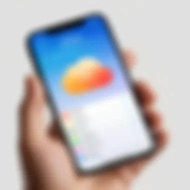 Exploring iCloud Backup Options iCloud Backup Interface on iPhone
