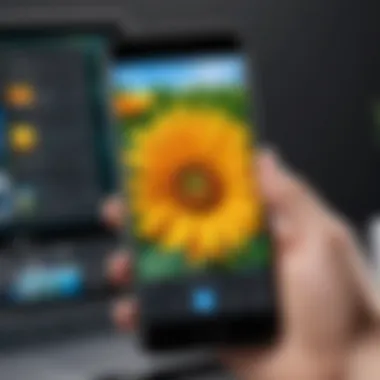 Using a Photo Editing App for JPG Conversion User interface of a photo editing app with conversion options