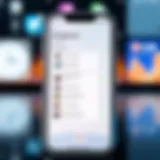 iPhone showcasing various ringtone options