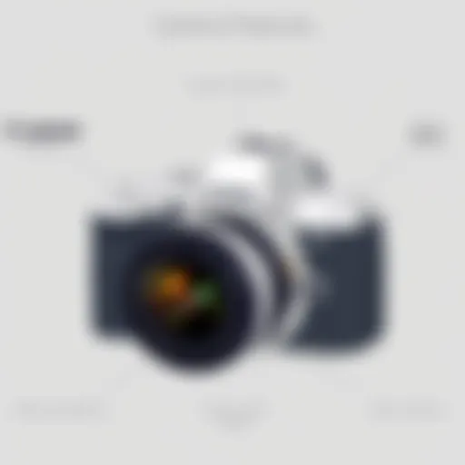 Showcasing Canon camera features