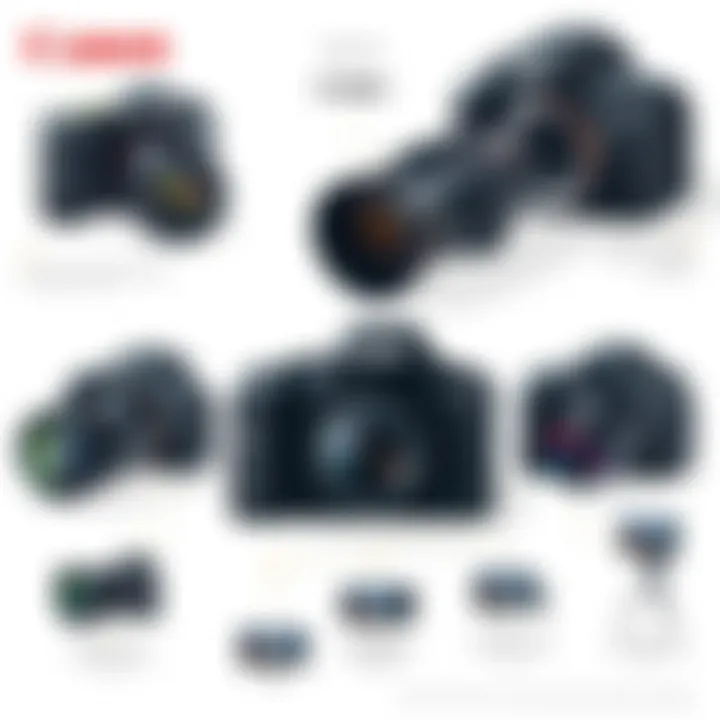 Canon Cameras in Real-world Scenarios Real-world applications of Canon cameras