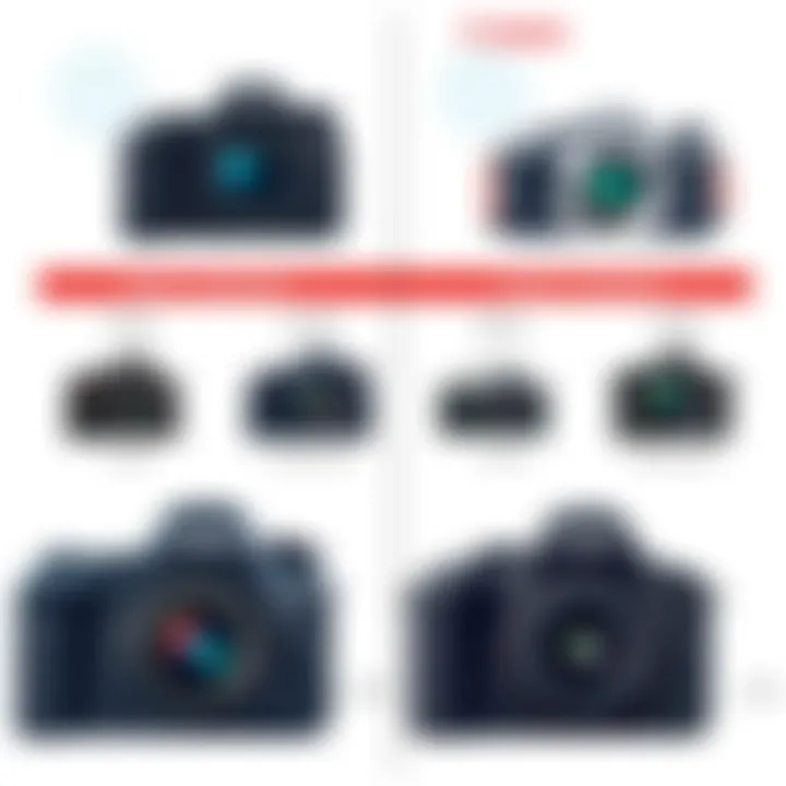 Canon Cameras Compared to Competitors Comparison of Canon cameras with competitors