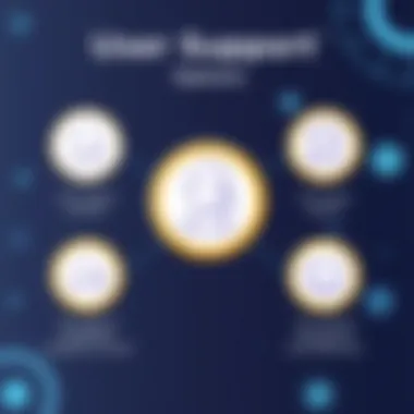 An overview of user support options available for clients.