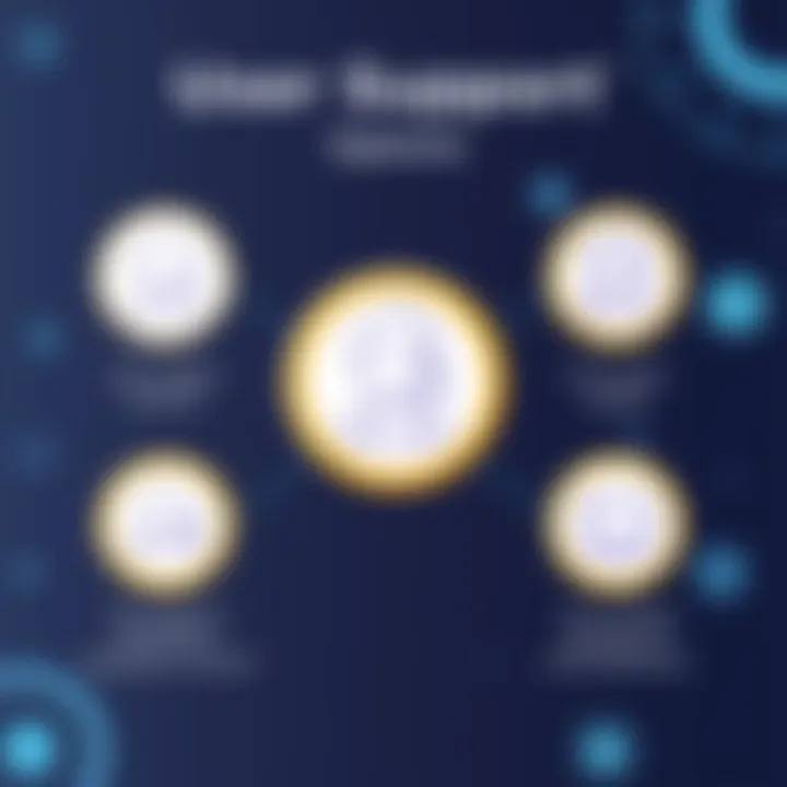 An overview of user support options available for clients.