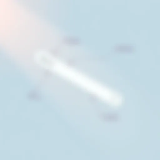 Exploring the Instagram Search Bar Visual representation of Instagram's search bar with highlighted features