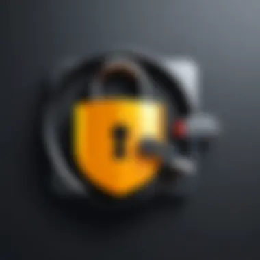 Lock symbol representing security in digital photography