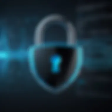 The Importance of Security in Password Management Conceptual image illustrating the importance of password security