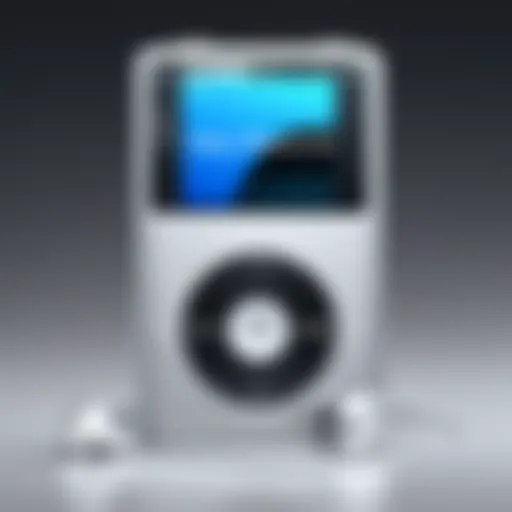 Visual representation of iPod Classic and iTunes software