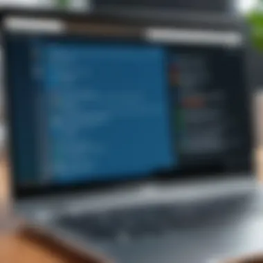 Virtual Machine Interface on Chromebook A Chromebook displaying a virtual machine interface