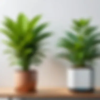 Traditional vs. Digital Plant Care Comparison chart of traditional plant care vs. app-assisted care.