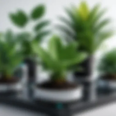 Enhancing Plant Care with Innovation Illustration of various plants with icons representing care tips.