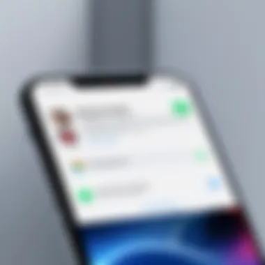 Blocked Contacts Settings on iPhone Illustration of iPhone screen displaying blocked contact settings
