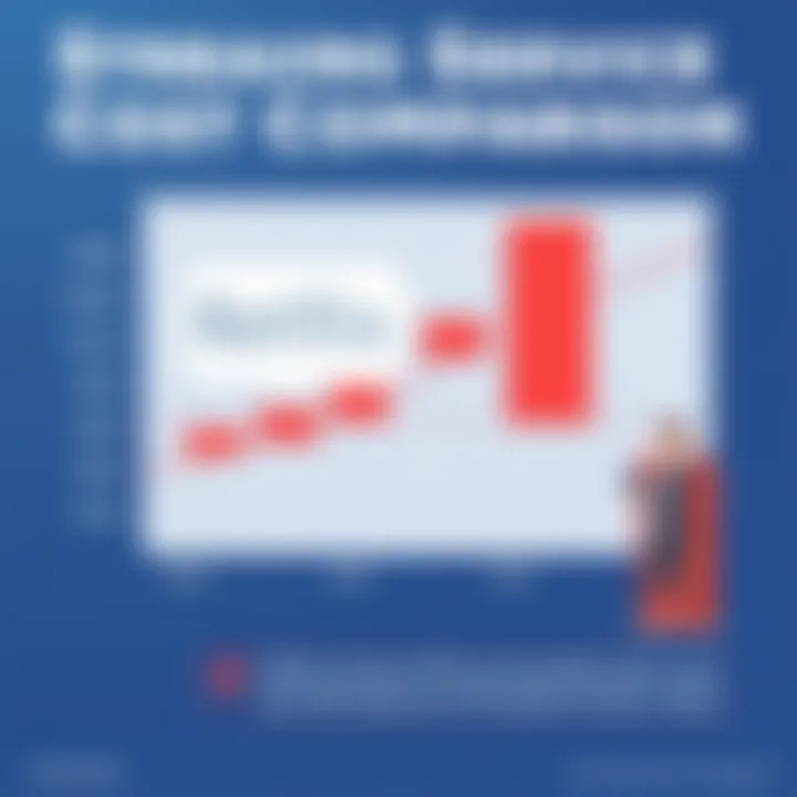 Streaming Service Cost Comparison Graph illustrating the cost comparison between Netflix and other streaming services