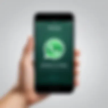 Installation process of WhatsApp on iPhone