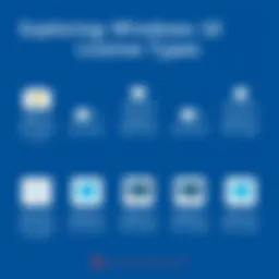 Visual representation of Windows 10 license types