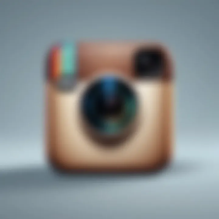 Preview of a third-party application for Instagram upload