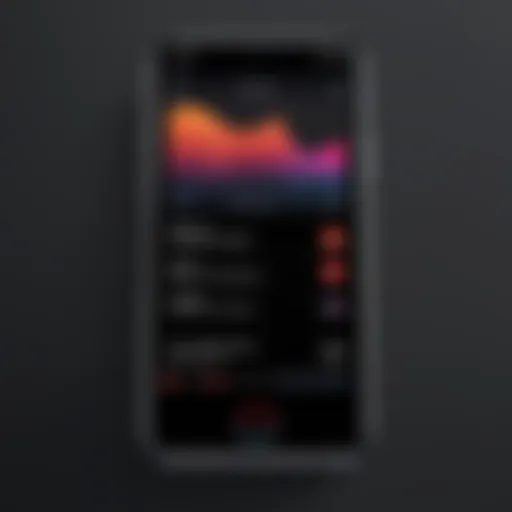 User interface of the iPhone voice recorder app showcasing recording options